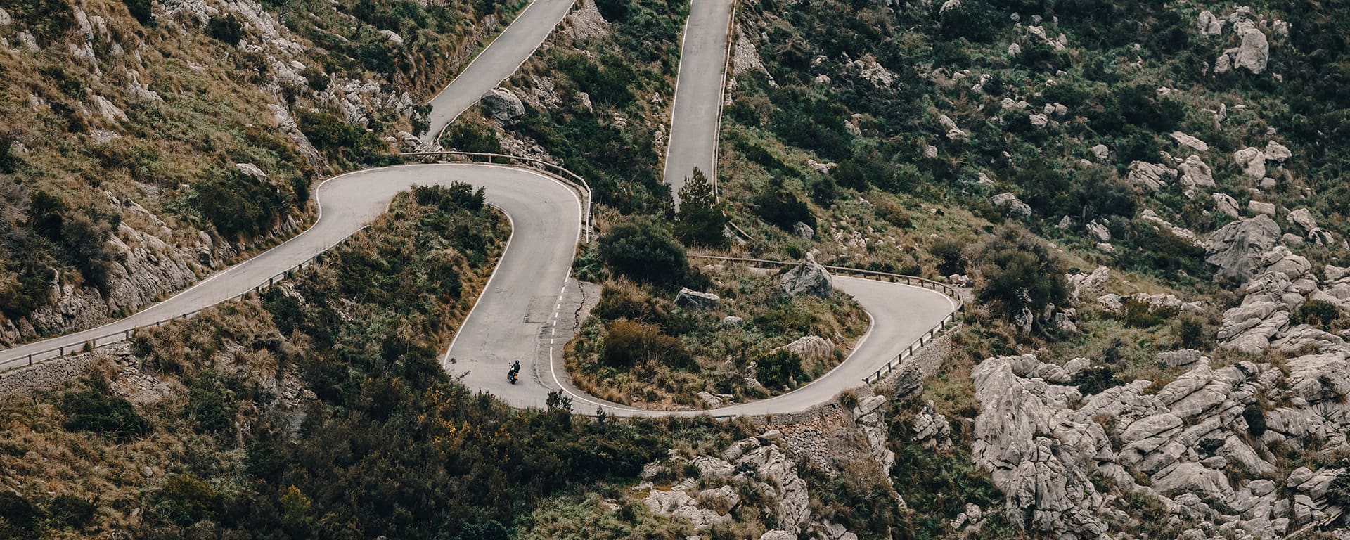 Triumph Speed Twin 1200)